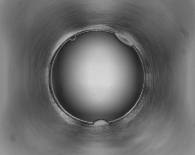 X0000111881438200907231526