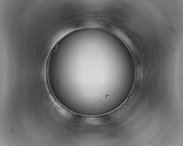 X0000111881439200907231526