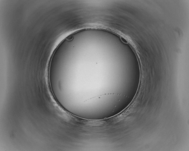 X0000111881440200907231526