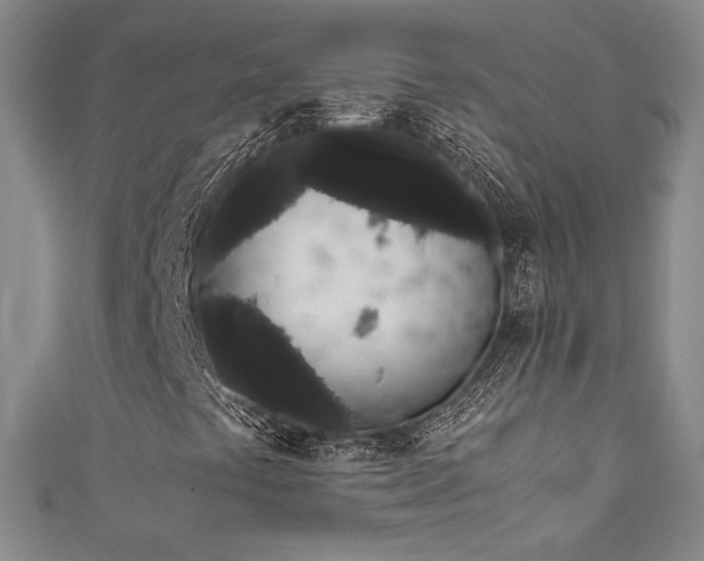 X0000111881441200907231525
