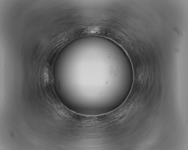 X0000111881442200907231525