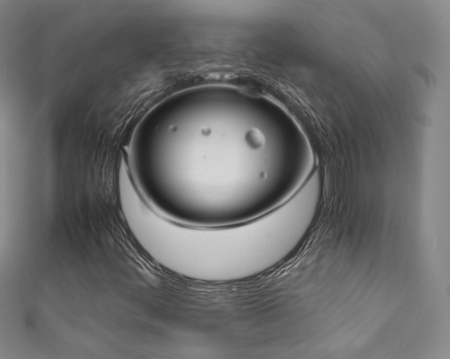 X0000111881444200907231525