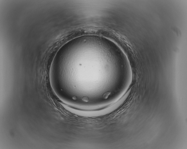 X0000111881445200907231525