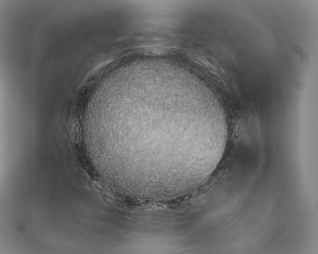 X0000111881446200907231525