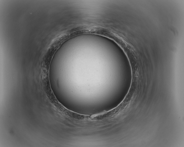 X0000111881447200907231525