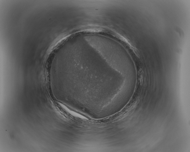 X0000111881448200907231525