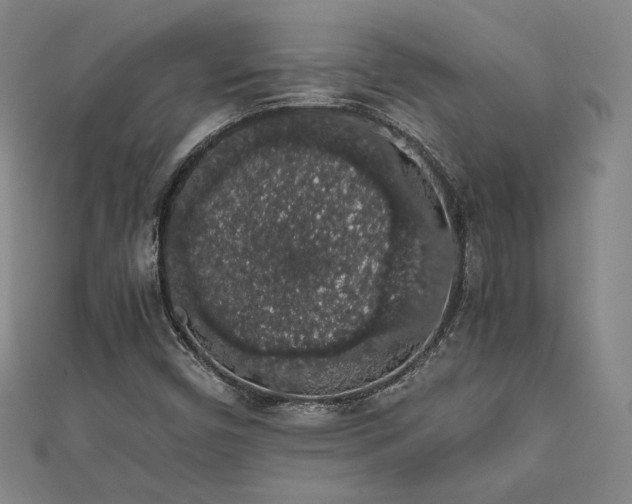 X0000111881450200907231525