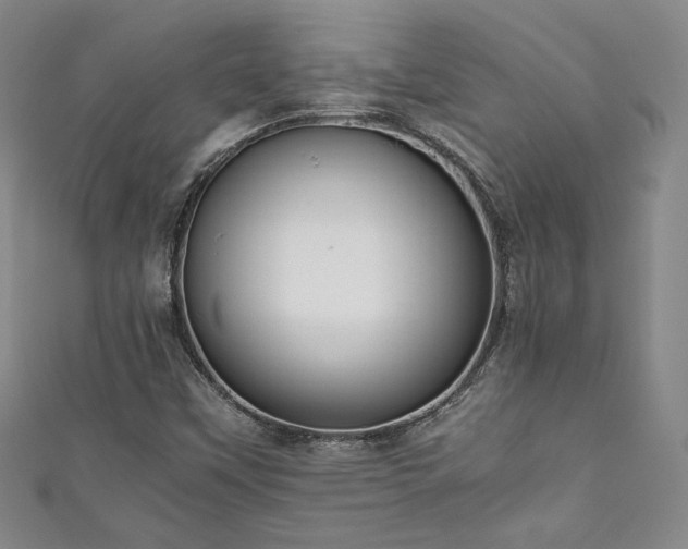 X0000111881451200907231525