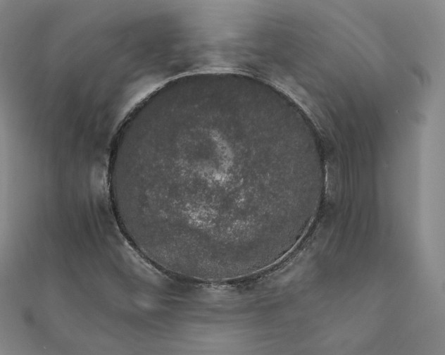 X0000111881452200907231525