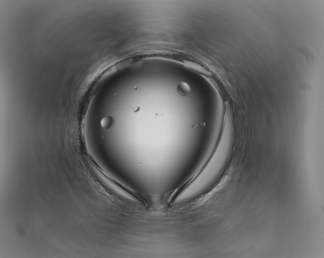 X0000111881453200907231525