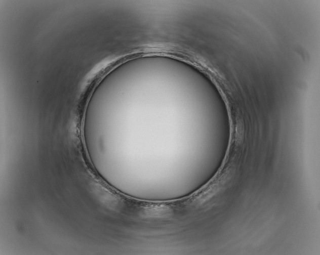 X0000111881454200907231525