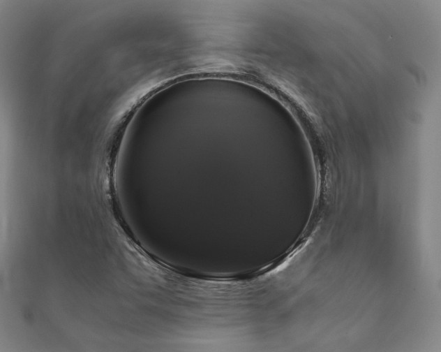X0000111881455200907231525