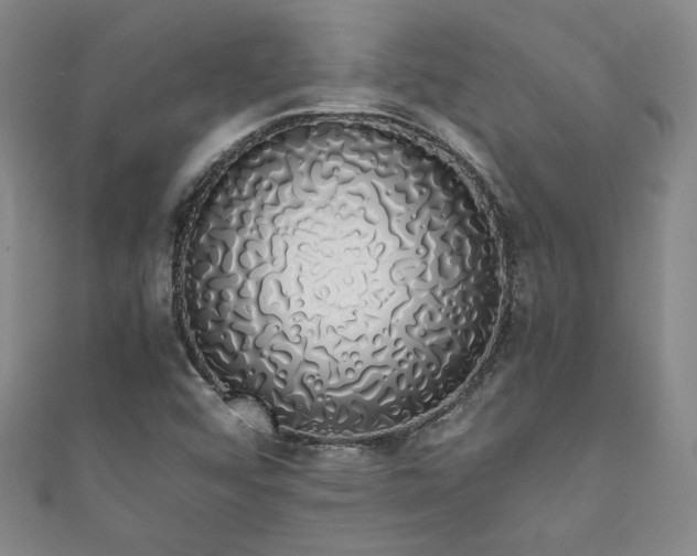 X0000111881456200907231525
