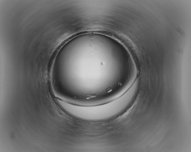 X0000111881457200907231525