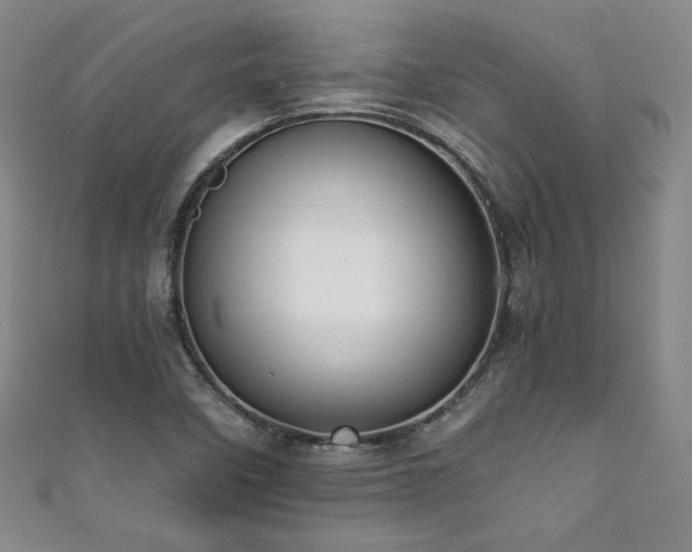 X0000111881458200907231525