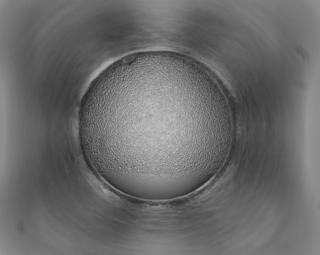 X0000111881460200907231525