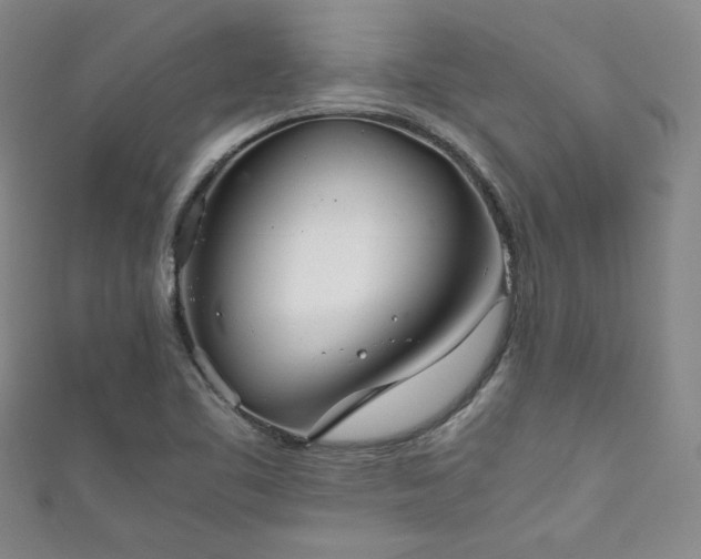 X0000111881461200907231525
