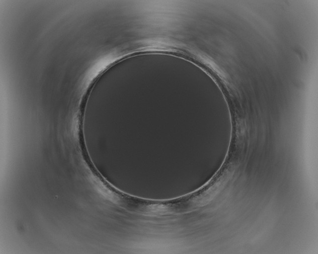 X0000111881463200907231525