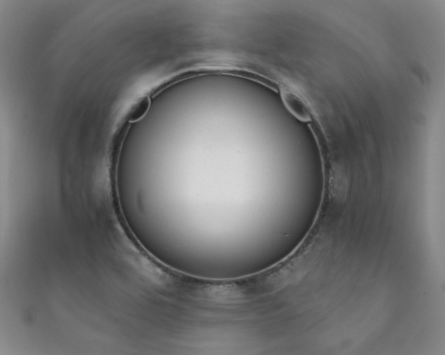 X0000111881464200907231525