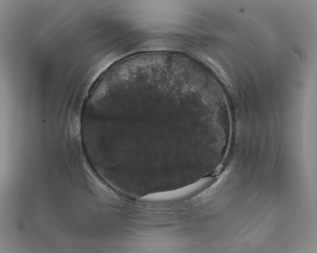 X0000111881465200907231525