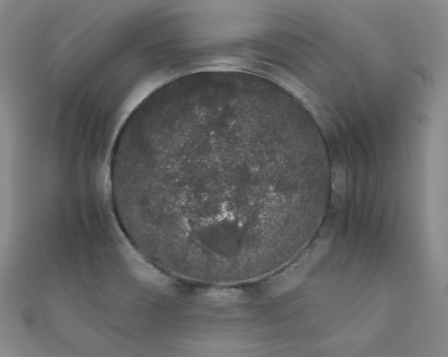 X0000111881466200907231525