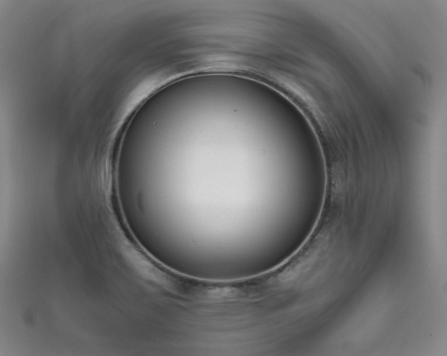 X0000111881467200907231525