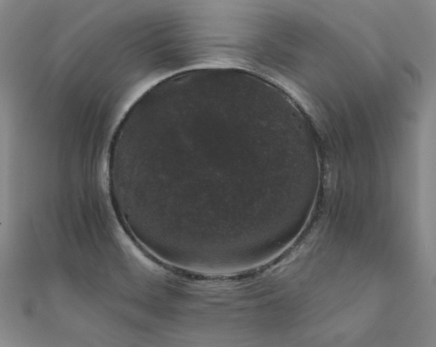 X0000111881468200907231525