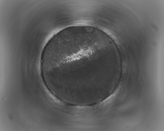 X0000111881469200907231525