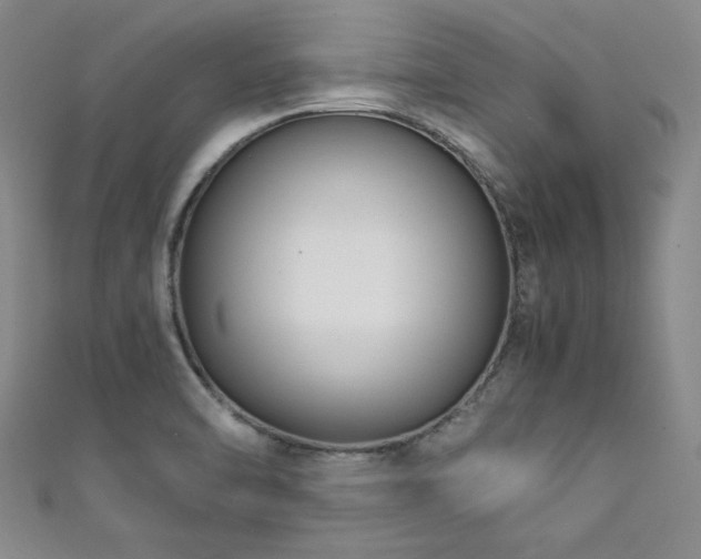 X0000111881470200907231525
