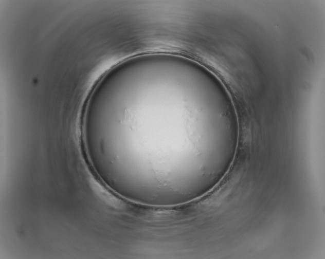 X0000111881471200907231525