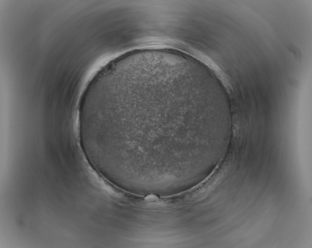 X0000111881472200907231525