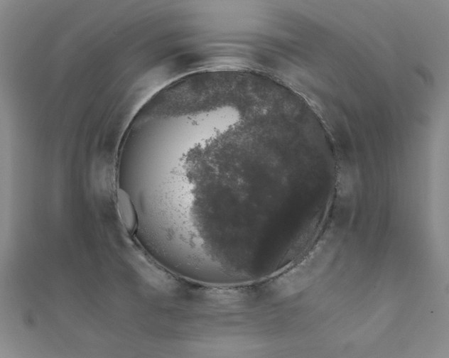 X0000111881473200907231525