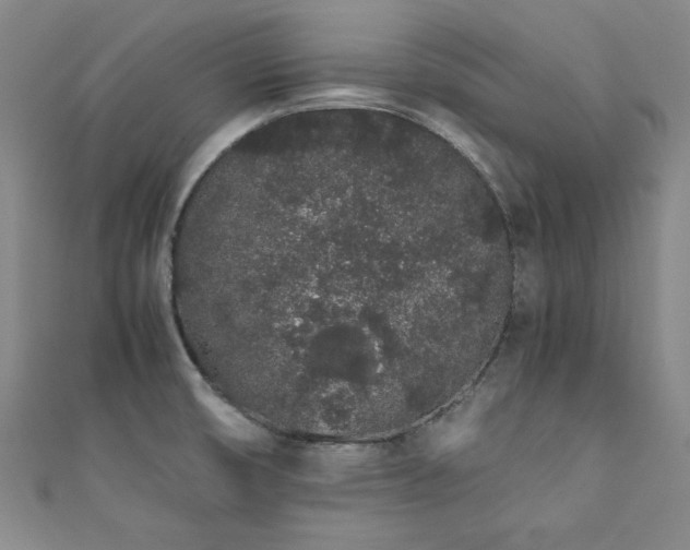 X0000111881474200907231525