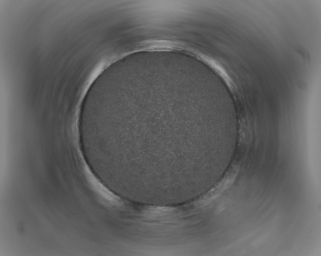 X0000111881475200907231525