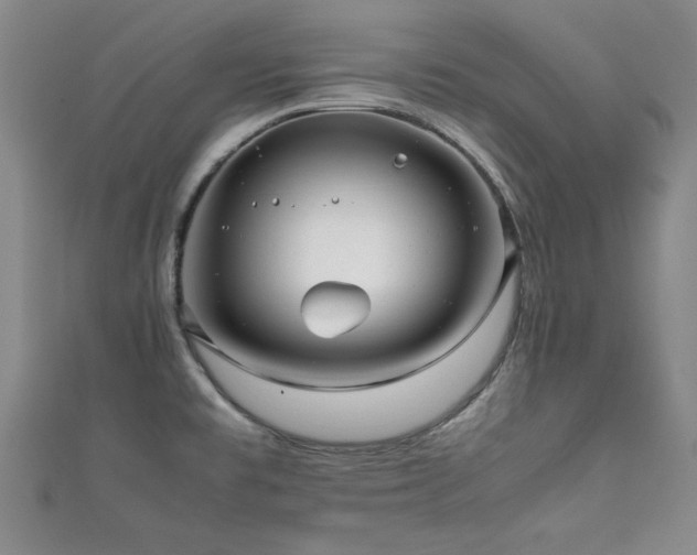 X0000111881477200907231525