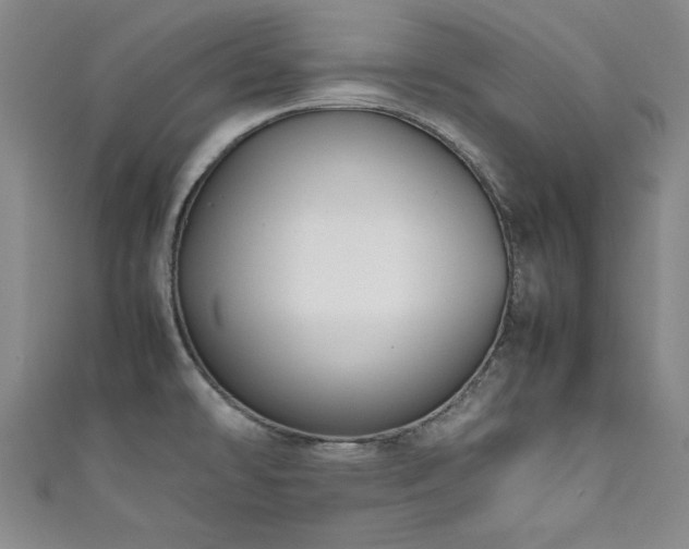 X0000111881478200907231525