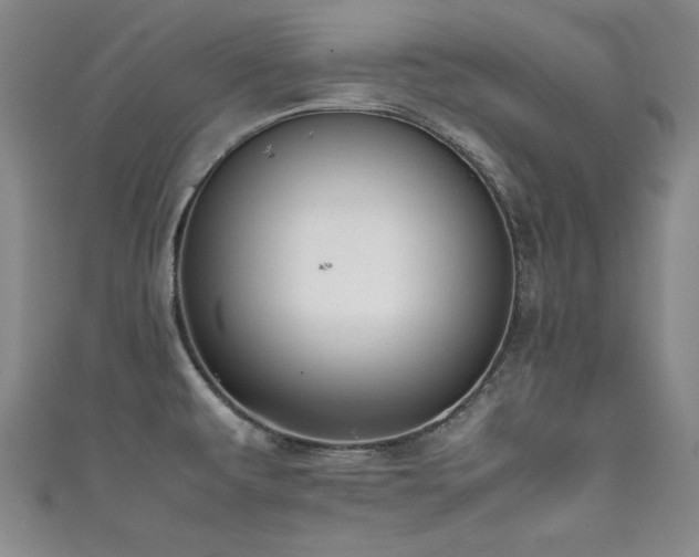 X0000111881479200907231525