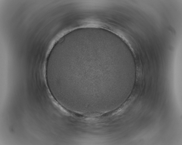 X0000111881480200907231525