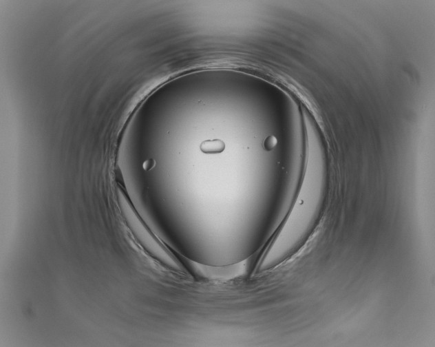 X0000111881481200907231525