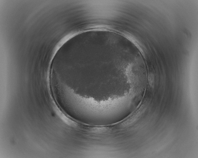X0000111881482200907231525