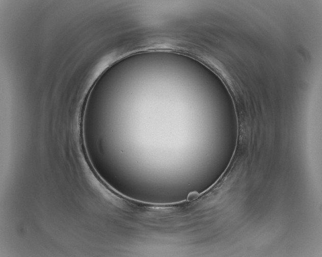 X0000111881483200907231525