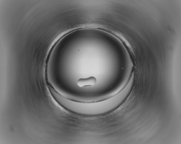 X0000111881484200907231525