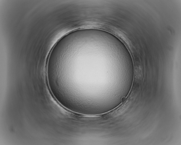 X0000111881487200907231525