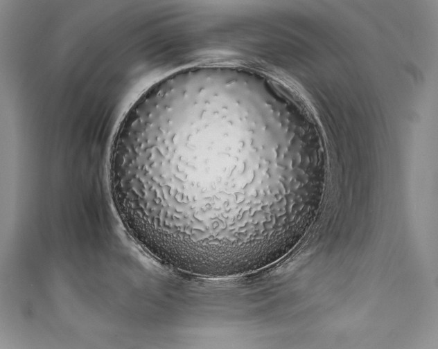 X0000111881488200907231525