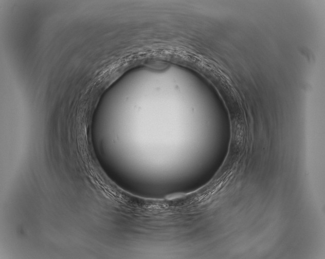 X0000111881489200907231524