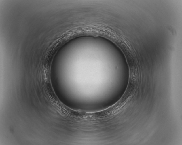 X0000111881490200907231524