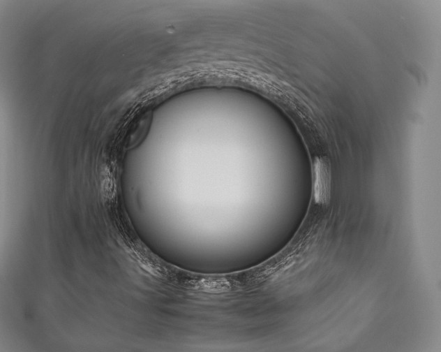 X0000111881491200907231524