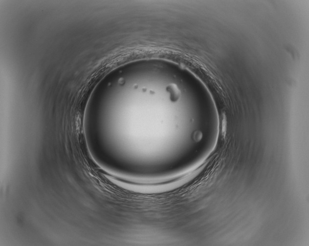 X0000111881492200907231524