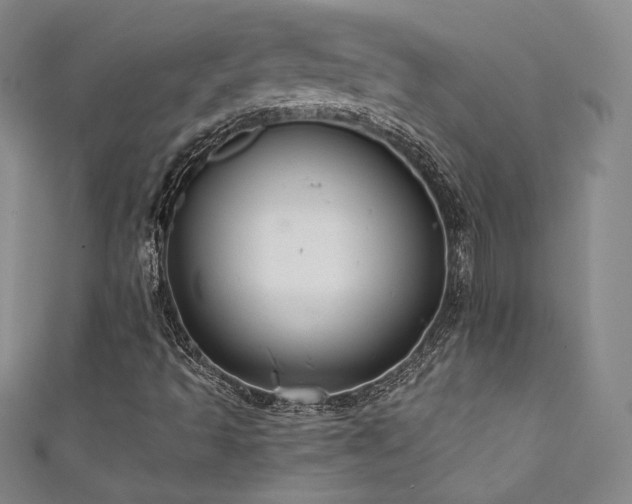 X0000111881493200907231524