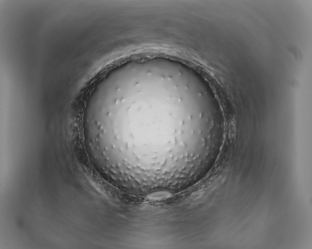 X0000111881496200907231524